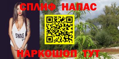 дживик Будённовск