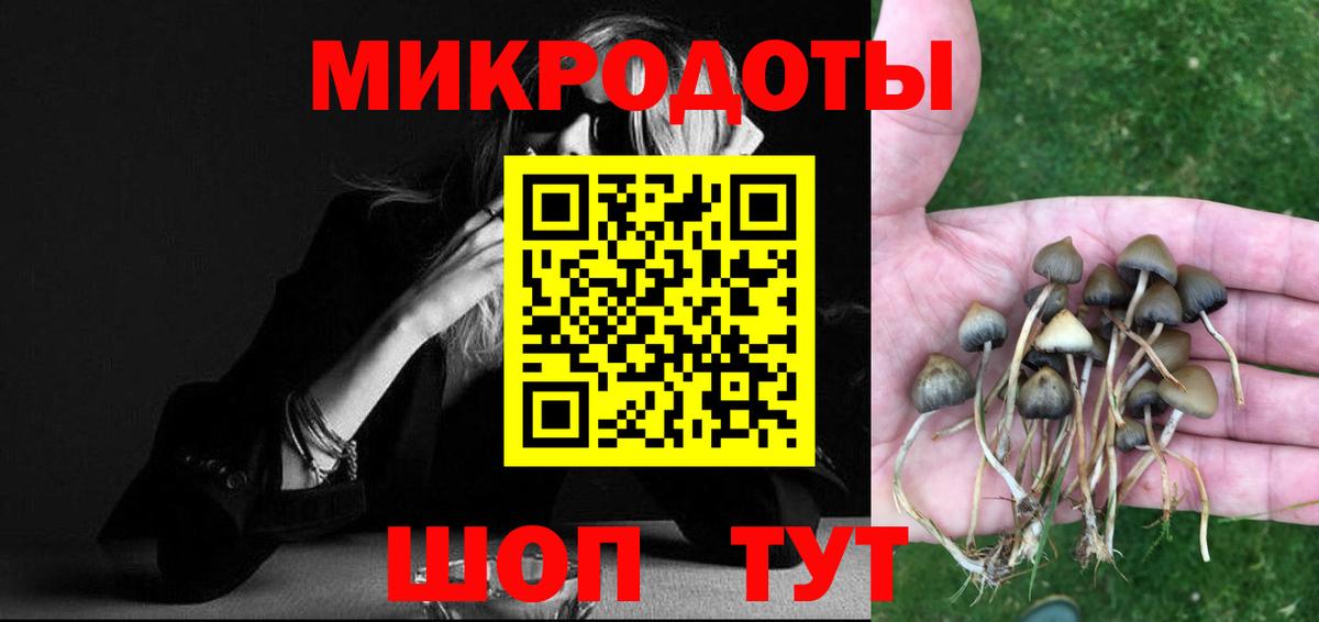 Краснознаменск  Галлюциногенные грибы ЛСД  Вход с VPN  наркота  Галлюциногенные грибы ЛСД 