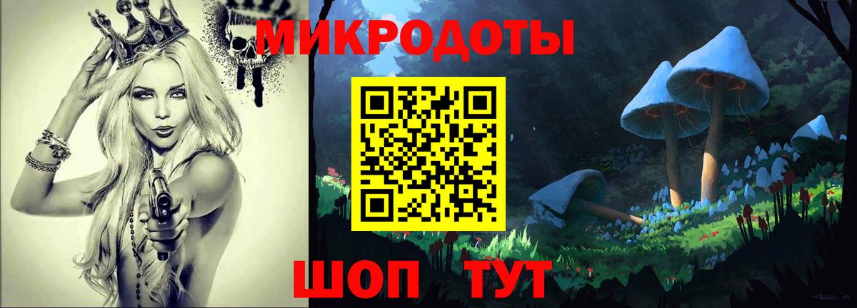 Псилоцибиновые грибы Psilocybe Краснознаменск